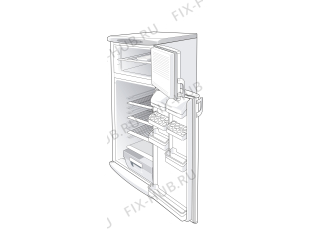 Холодильник Gorenje KG256CA4/1 (153744, HZS2766) - Фото